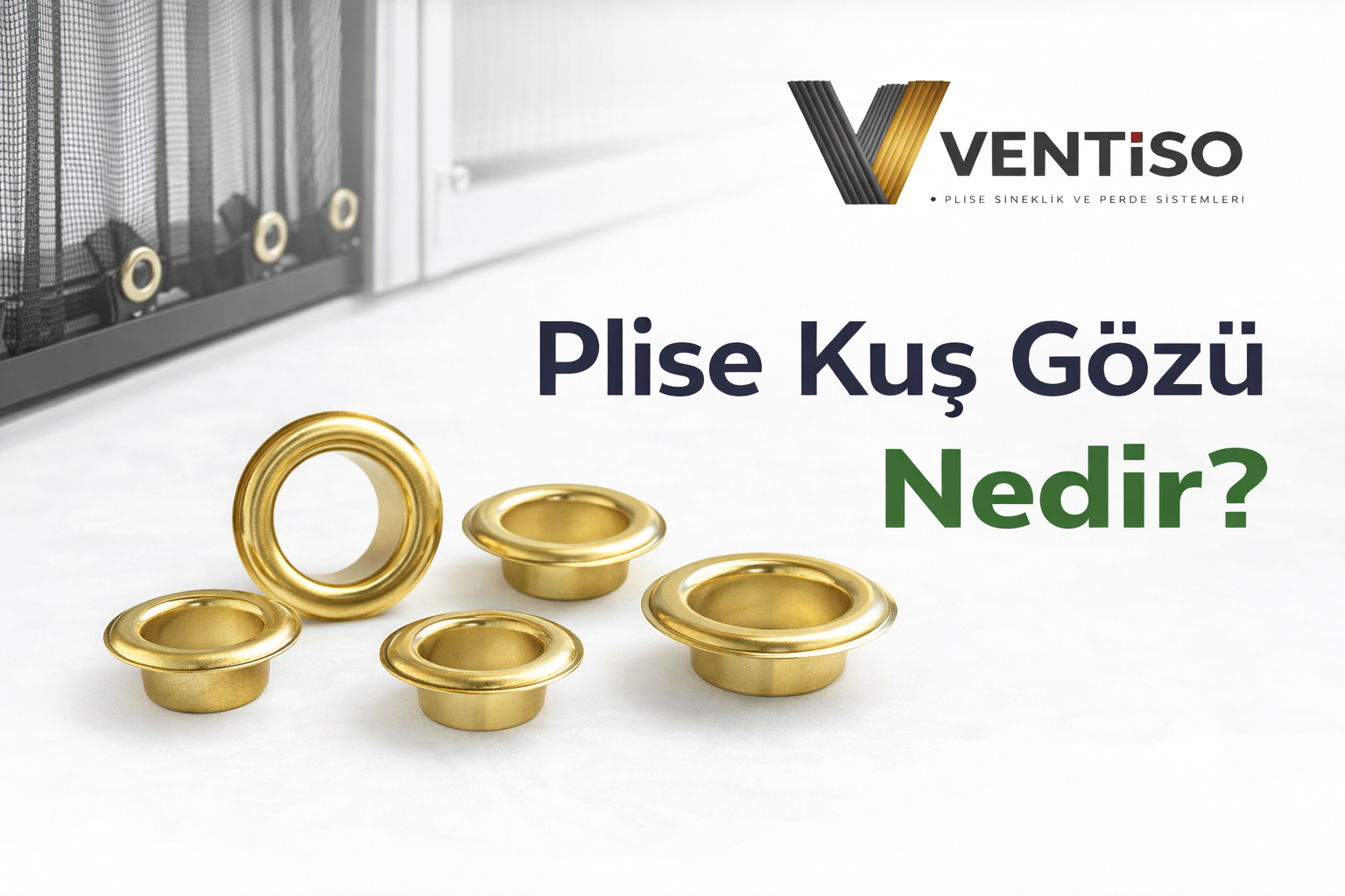 Plise Kuş G&ouml;z&uuml; Nedir ?